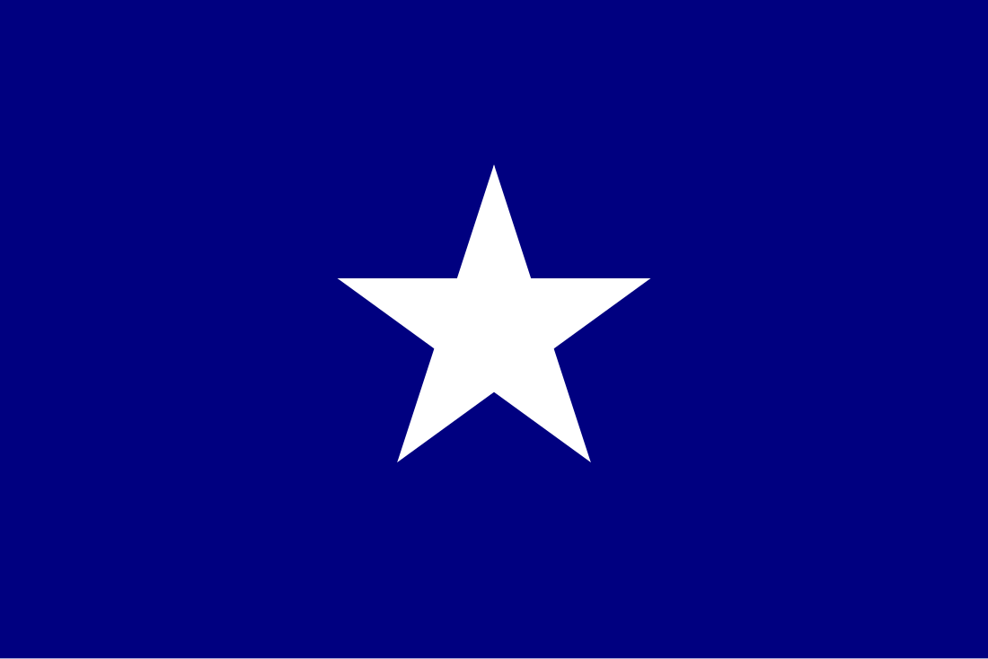 Bandeira Bonnie Blue