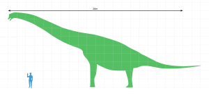 Brachiosaurus scale 1.svg