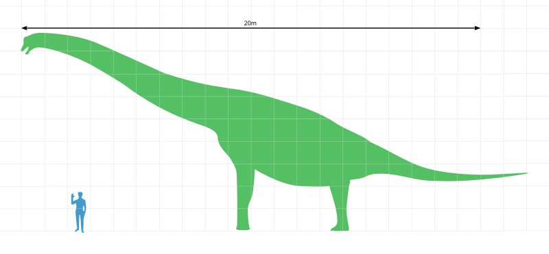 File:Brachiosaurus scale 1.svg