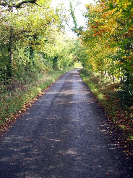 File:Bransbury - Lane - geograph.org.uk - 1022704.jpg