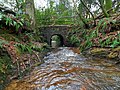 wikimedia_commons=File:Bridge and stream on the Ashdown Forest near Forest Row.jpg