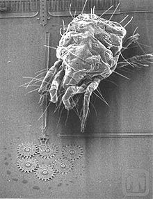 A spider mite next to a MEMS gear train. Bug 1c.jpg