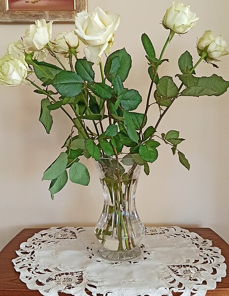File:Bukiet białych róż w wazonie - 2022.03.08.jpg