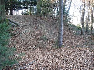 Burgstall Haunswies - northeast part of the small castle site