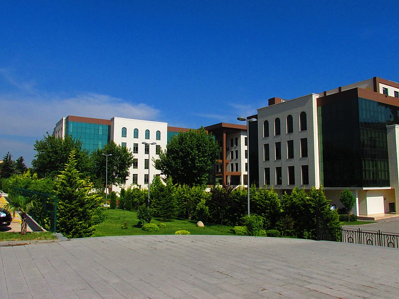 File:BursaTeknikÜniversitesi MimarSinanYerleşkesi.jpg