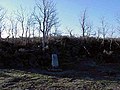 Camas Meadows Battle Sites CamasMeadows2ByPhilKonstantin.jpg