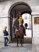 A mounted trooper of the King's Troop, Royal Horse Artillery on duty at Horse Guards