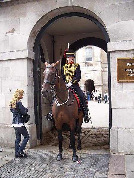 File:Cavall, city of westminster, londres.JPG