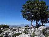 Coto del Penon del Água über Cazorla