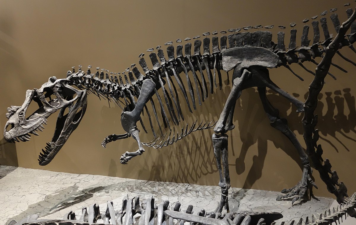 Two-legged dinosaurs may have swung tails to run faster, say scientists, Dinosaurs