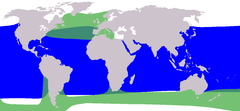 Cetacea range map Pilot Whale.png