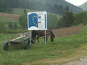 Waarschijnlijk Karakatchan ingezet in de Rhodopes