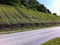 Châteaulin : les gradins face à la ligne d'arrivée du Circuit de l'Aulne (ancienne course cycliste) 2