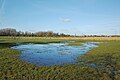 * Nomination Wetland, Chemin des Ecluses, in Chéreng, France --Velvet 08:40, 17 February 2024 (UTC) * Promotion Good quality. --Jacek Halicki 09:32, 17 February 2024 (UTC)