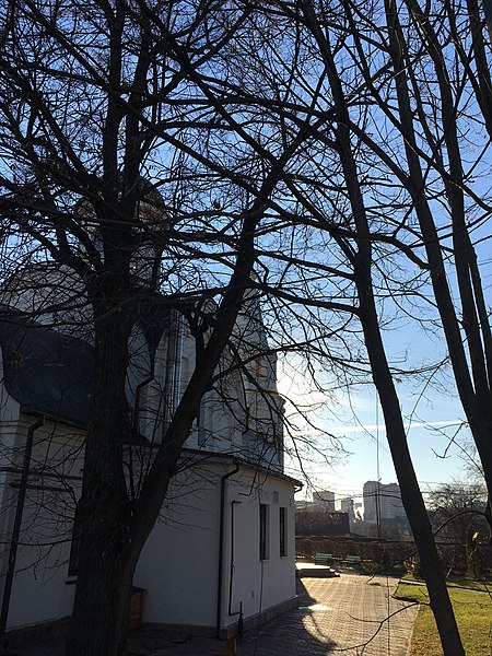 File:Church of the Theotokos of Tikhvin, Troitsk - 3643.jpg