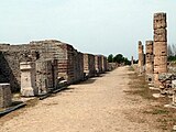 Paestum: Via Magna Grecia