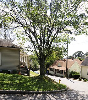 Clingman Avenue Historic District United States historic place