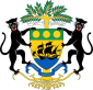 Emblema - Gaboni