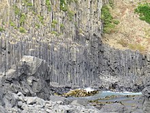 Blackhead, Dunedin, New Zealand Columnar basalt, Blackhead, New Zealand.jpg