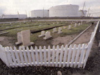 Constable Hook Cemetery.tiff