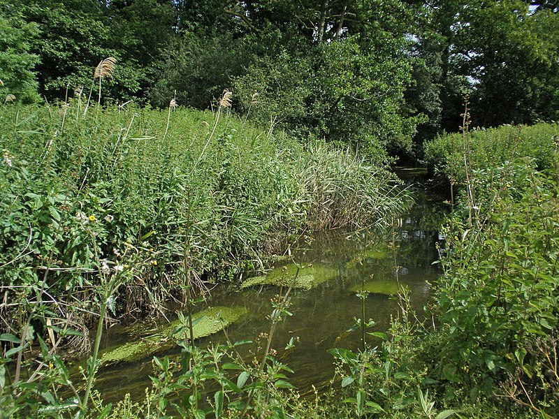 File:Coventry's Other River. The Sowe Ansty Road to London Road Binley Bridge to Allard Way (48170183062).jpg