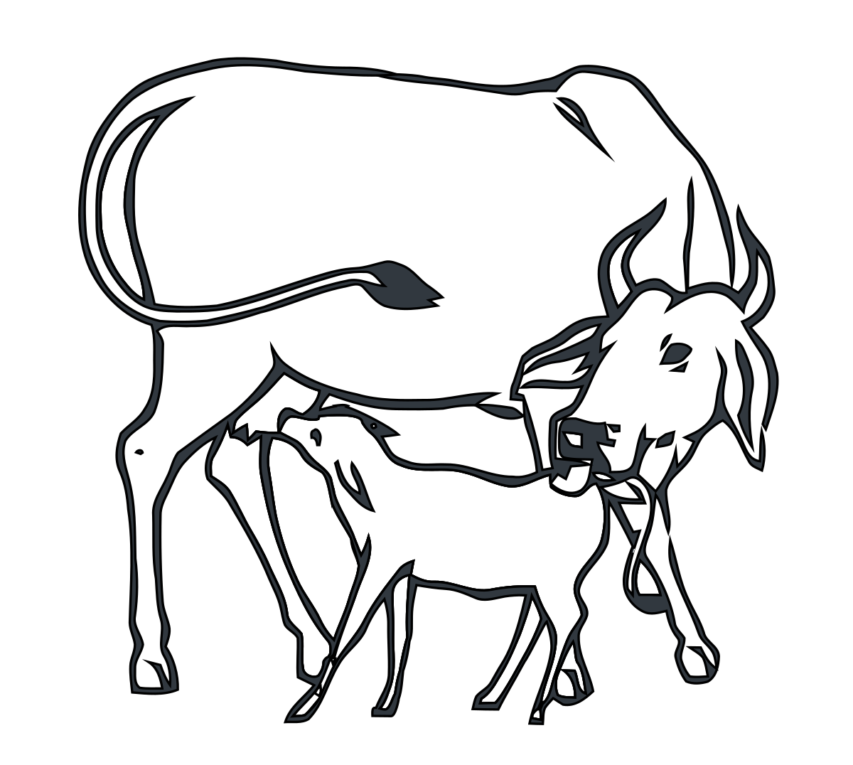 Cow Coloring Pages - Free & Printable!