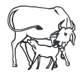Cow and Calf INC.svg
