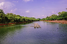 Crescent lake dhaka with delonix ragia