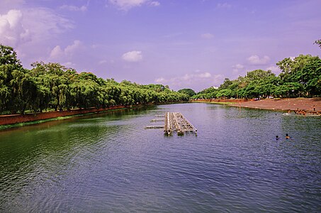 Crescent Lake, Dhaka, with Delonix regia