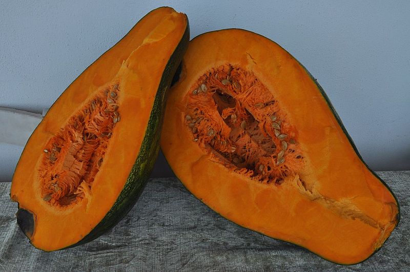 File:Cucurbita moschata (giraumon 4).jpg