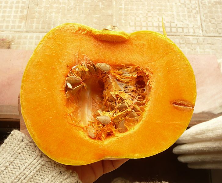 File:Cucurbita moschata argentinian variety 4.jpg