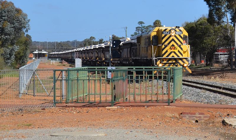 File:DAZ 1901 leaving the Narrogin yard.JPG