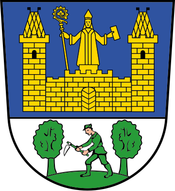 File:DEU Tirschenreuth COA.svg