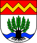 Brasão de Weidenbach