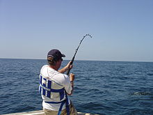 Deep sea fishing from a boat in the Gulf of Mexico Deepsea.JPG