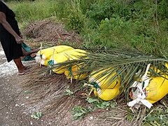 Déshydratation de la pâte du manioc au Togo.