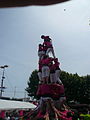 Diada castellera de les festes de primavera del 2014 a Sant Feliu de Llobregat. Hi actuaven els Castellers de Sant Feliu (camisa rosa), els Castellers de Viladecans (camisa verda) i els Castellers de Santa Coloma (camisa blau cel).Template:Location dec