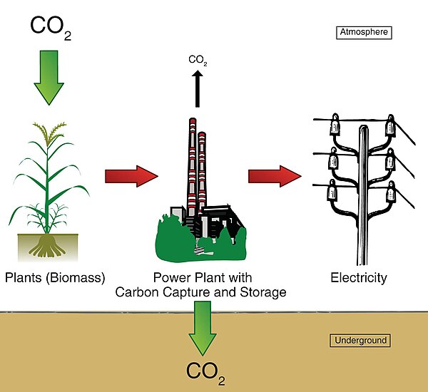 Diagram-of-Bioenergie power plant with carbon capture and storage (cropped).jpg (description page)