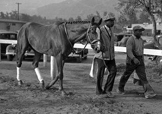 <span class="mw-page-title-main">Discovery (horse)</span> American-bred Thoroughbred racehorse