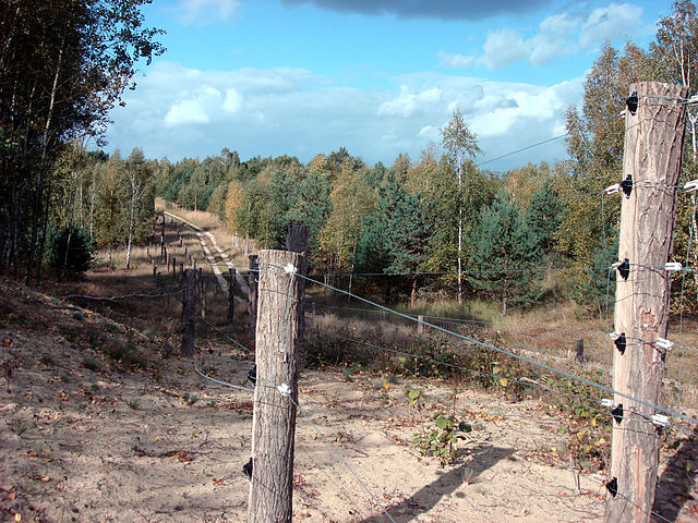 Horizonte de Dallgow-Döberitz