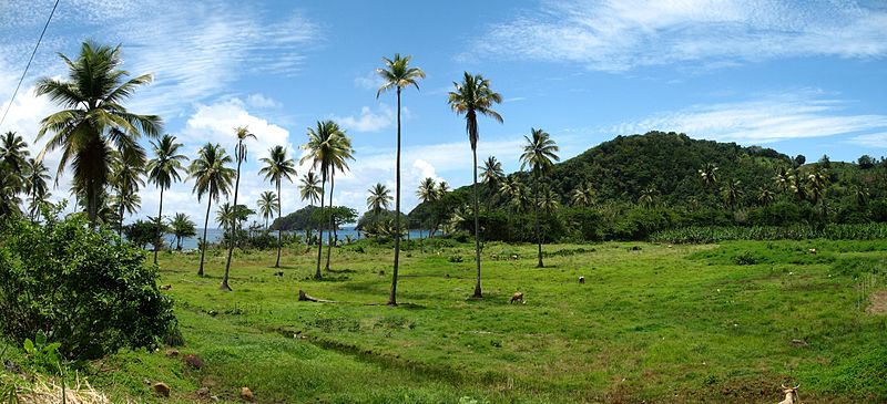 File:Dominica Panorama 5.jpg