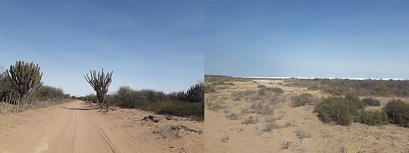 File:Dos paisajes distintos del chaco árido de los alrededores de Lucio V. Mansilla.jpg