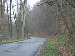 Fragment drogi na odcinku z Lądka-Zdroju do Orłowca