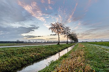 Dülmen, Merfeld, Feldweg am Mühlenbach (2021)