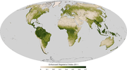 Thumbnail for Enhanced vegetation index