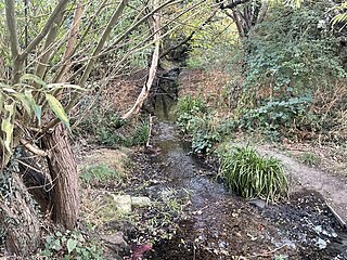 <span class="mw-page-title-main">East Pyl Brook</span> River in London, England