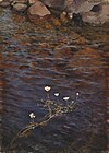 Pond Water Crowfoot and Shorestones, 1895 (fi)