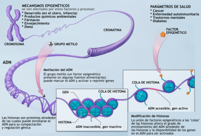 Azul de metileno - Wikipedia, la enciclopedia libre