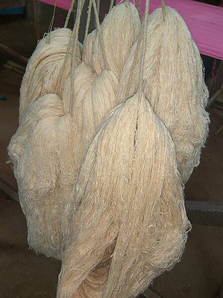 File:Eri silk fiber.jpg