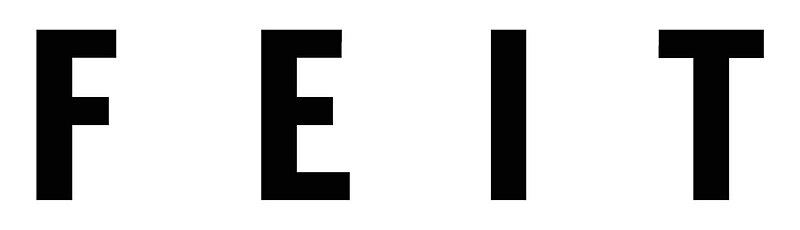 File:FEIT logo.jpg